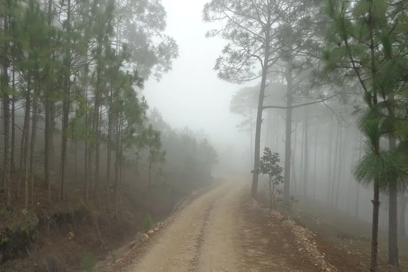 Los caminos de la sierra huajicorense