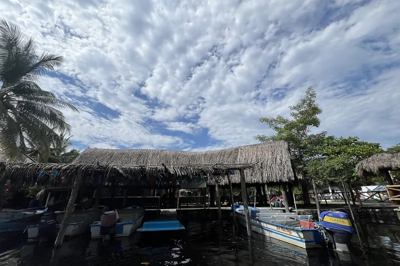 Canales de manglar del Parque Nacional La Tovara
